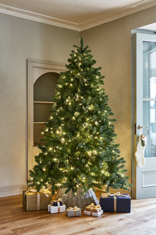 Bay Spruce Pre lit Warm White 6ft