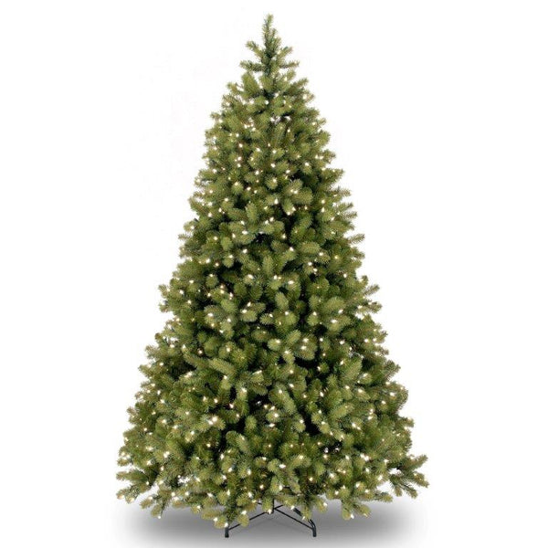 Bay Spruce Pre lit Warm White 6ft